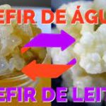 Qual a temperatura e tempo ideais para cultivar o Kefir