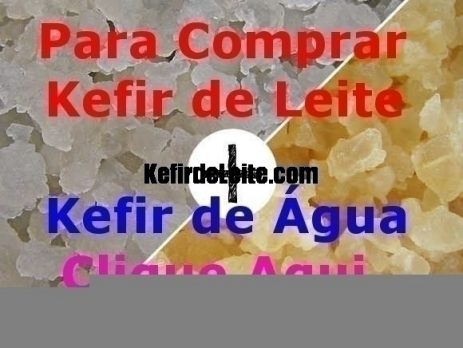 Comprar Kefir de Leite + Kefir de Água