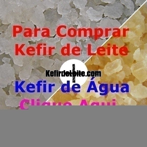 Comprar Kefir de Leite + Kefir de Água