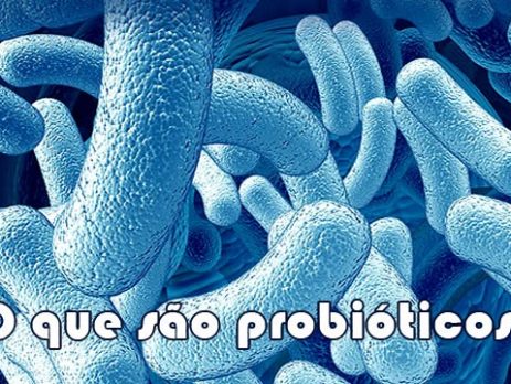 O que são Probióticos