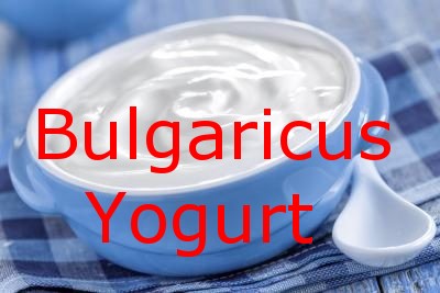 Manual de Instruções do Bulgaricus Iogurte Infinito – preparo e cuidados